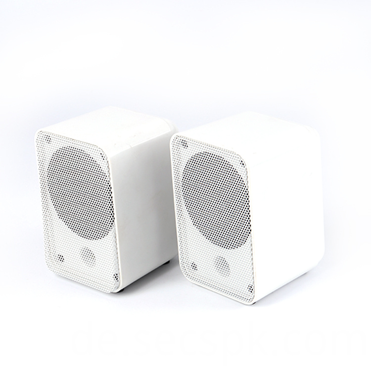 3-Zoll-Kunststoff-Lautsprecherbox 3inch Plastic Speaker Box